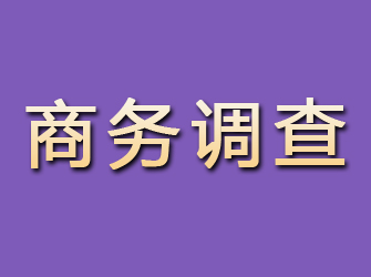 果洛商务调查